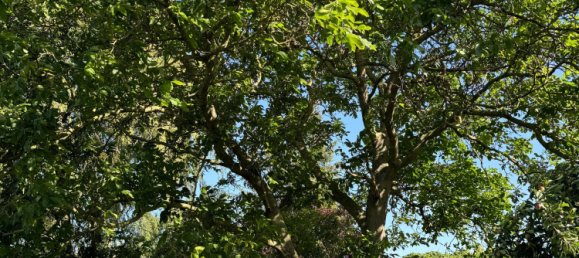 6غرفة تاون هاوس في Demmin, Germany رقم 176946 4