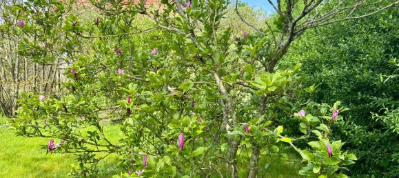 6غرفة تاون هاوس في Demmin, Germany رقم 176946 18