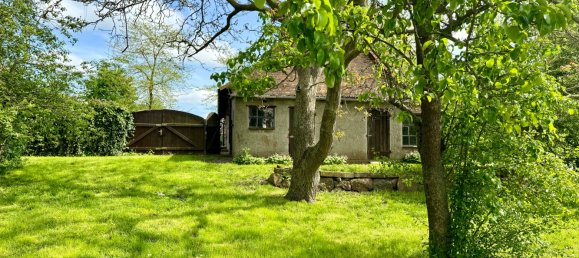 6غرفة تاون هاوس في Demmin, Germany رقم 176946 15