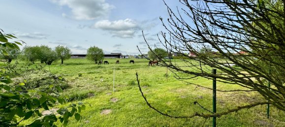 6غرفة تاون هاوس في Demmin, Germany رقم 176946 13