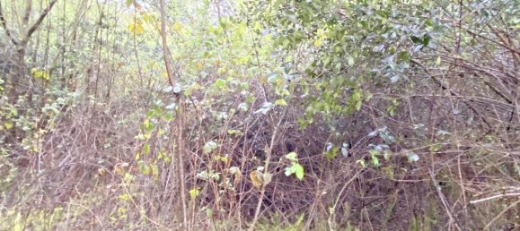 Terrain à Abegondo, Spain 25795m² No. 50461 8