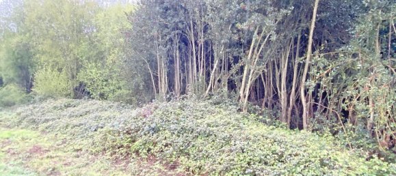 Terrain à Abegondo, Spain 25795m² No. 50461 3