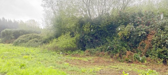 Terrain à Abegondo, Spain 25795m² No. 50461 4