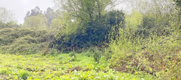 Terrain à Abegondo, Spain 25795m² No. 50461 16