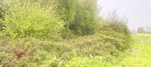 Terrain à Abegondo, Spain 25795m² No. 50461 14