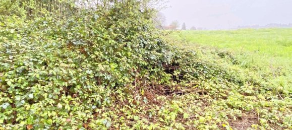 Terrain à Abegondo, Spain 25795m² No. 50461 5