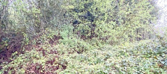 Terrain à Abegondo, Spain 25795m² No. 50461 6