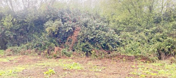 Terrain à Abegondo, Spain 25795m² No. 50461 18