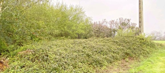 Terrain à Abegondo, Spain 25795m² No. 50461 2