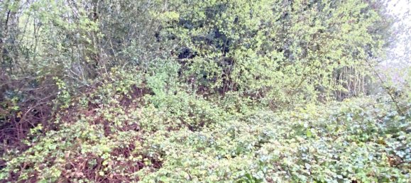 Terrain à Abegondo, Spain 25795m² No. 50461 7