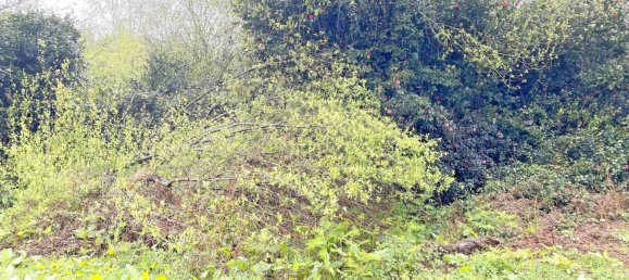 Terrain à Abegondo, Spain 25795m² No. 50461 15