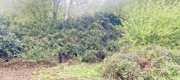 Terrain à Abegondo, Spain 25795m² No. 50461 19