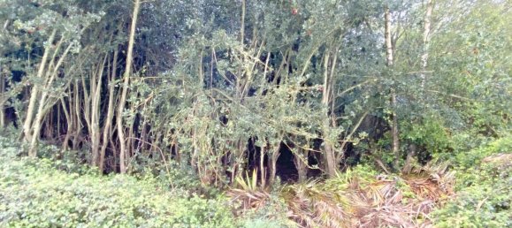 Terrain à Abegondo, Spain 25795m² No. 50461 9