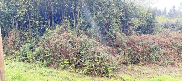 Terrain à Abegondo, Spain 25795m² No. 50461 13