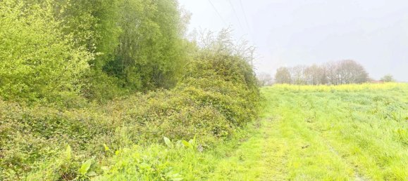 Terrain à Abegondo, Spain 25795m² No. 50461 17