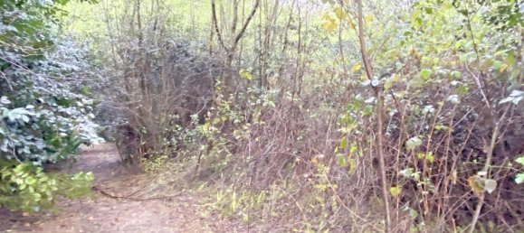 Terrain à Abegondo, Spain 25795m² No. 50461 11