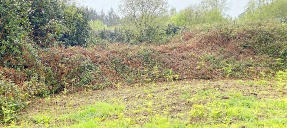 Terrain à Abegondo, Spain 25795m² No. 50461 12