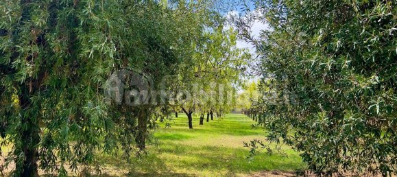 3غرفة منزل في Avola, Italy رقم 352741 14