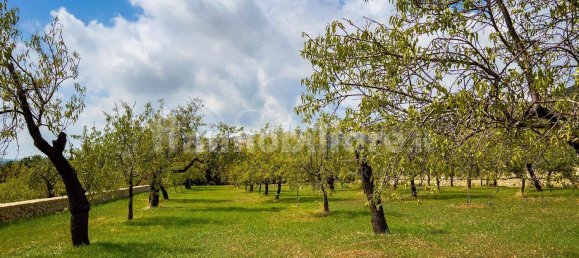 3غرفة منزل في Avola, Italy رقم 352741 13