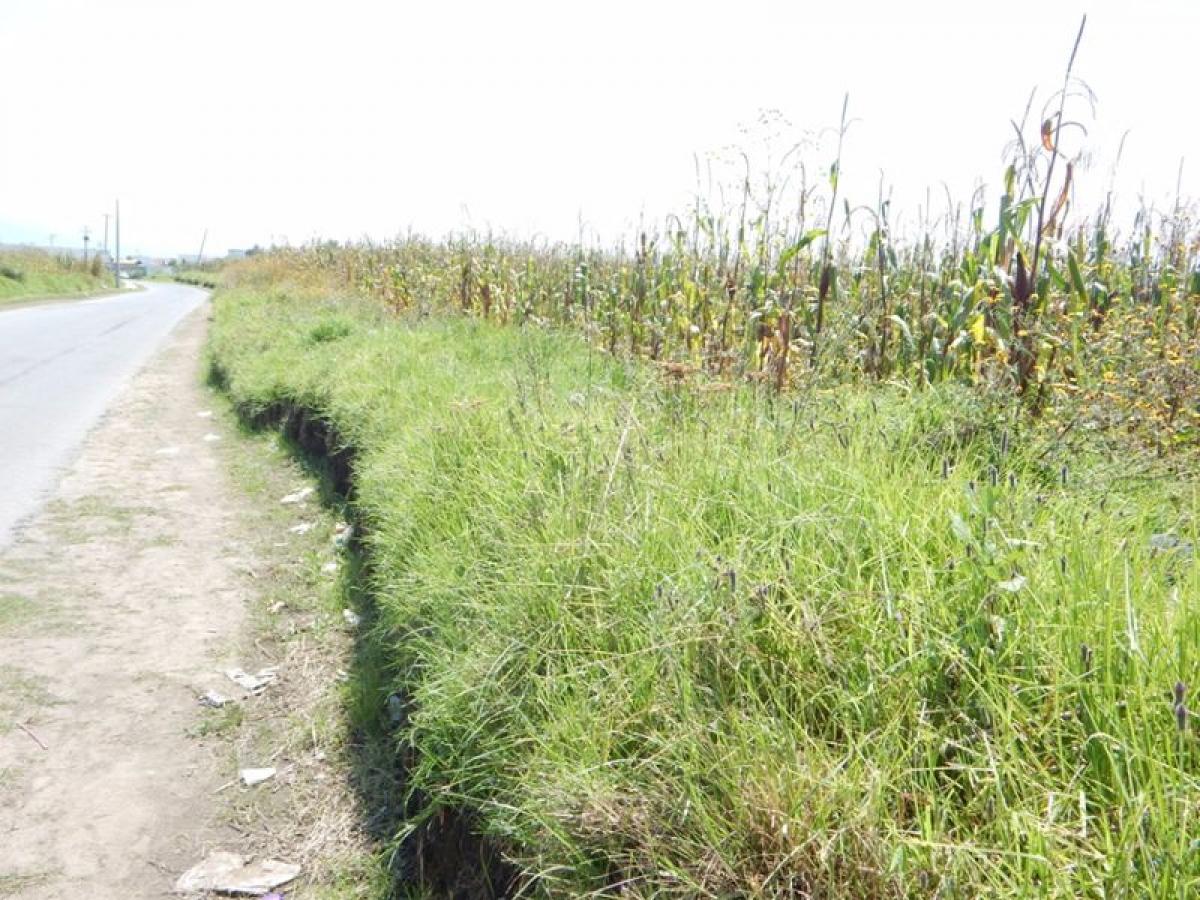  قطعة أرض في Mexico رقم 204154