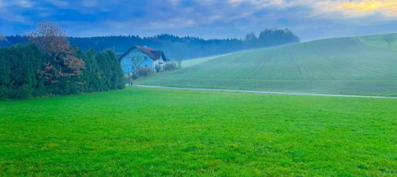 Terreno em Andorf, Austria N.º 73986 2