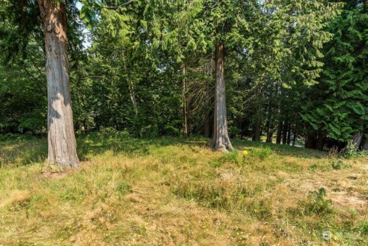 2 Schlafzimmer Haus in Bellingham, USA, Nr. 420291