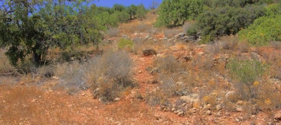 3480m² Land in Faro, Portugal No. 83219 13