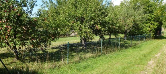 Земельный участок в Хасберге, Германия № 307596 3