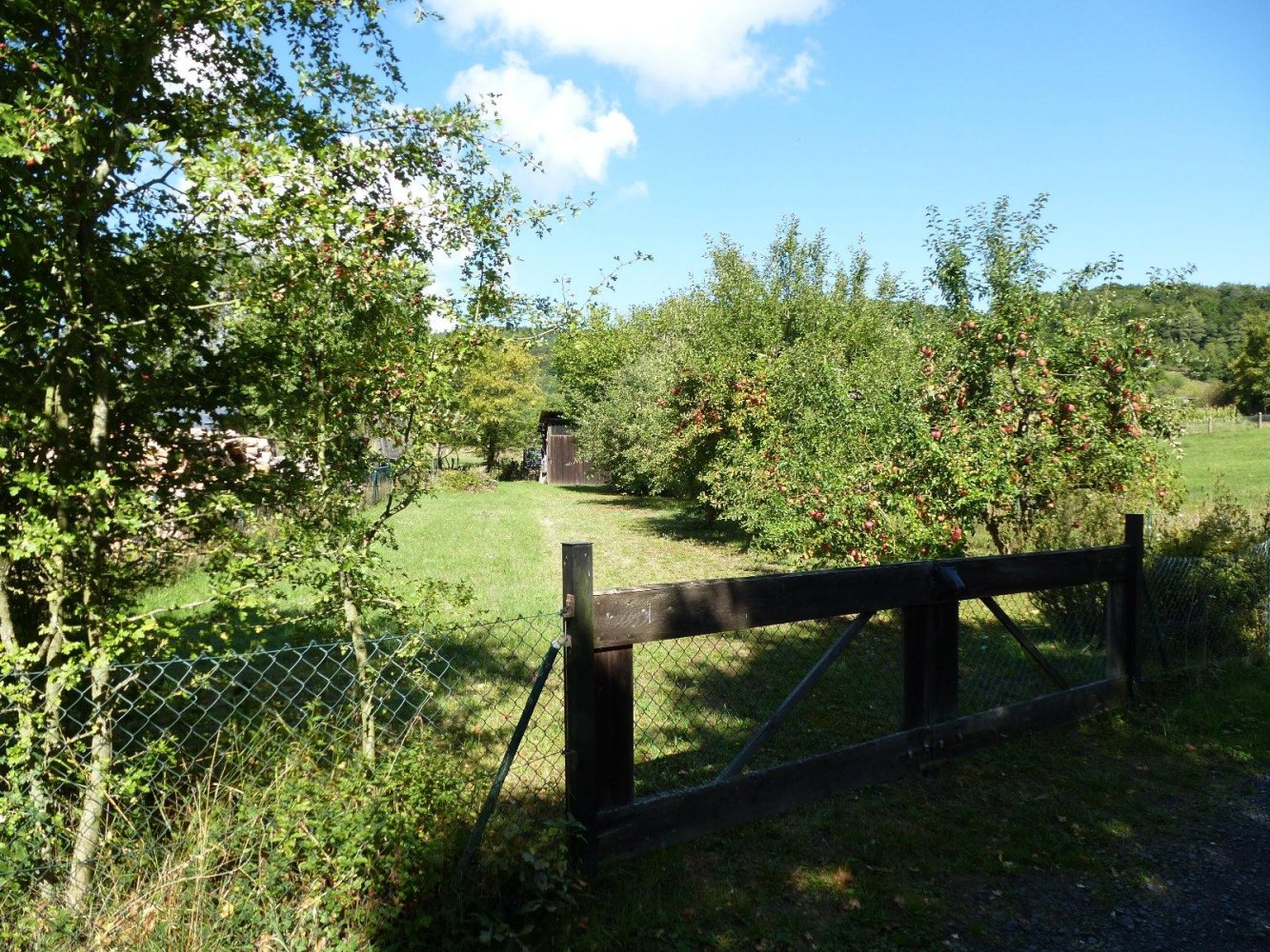 Земельный участок в Хасберге, Германия № 307596