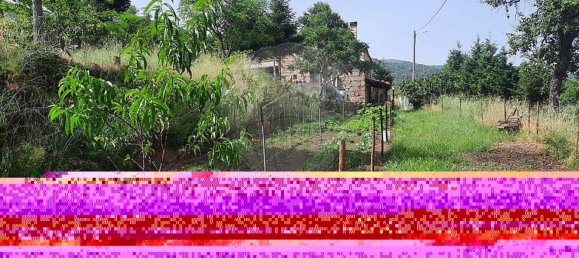 3 bedrooms House in Famalicao, Portugal No. 20355 21