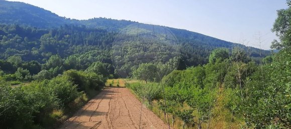 3 bedrooms House in Famalicao, Portugal No. 20355 19