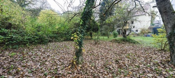 2 chambres Maison à Enzkreis, Germany No. 46249 4