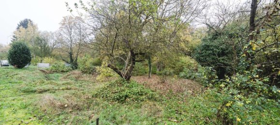 2 chambres Maison à Enzkreis, Germany No. 46249 7