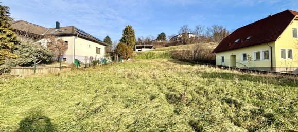 Terreno en Neusiedl am See, Austria No. 46764 4