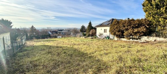 Terreno en Neusiedl am See, Austria No. 46764 6