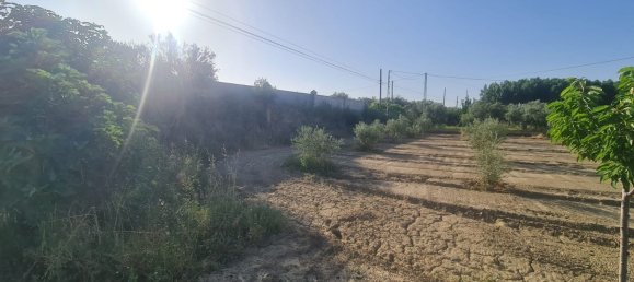 Terreno em Guadix, Spain N.º 137487 5