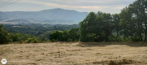 2960m² Land in Città della Pieve, Italy No. 251579 10