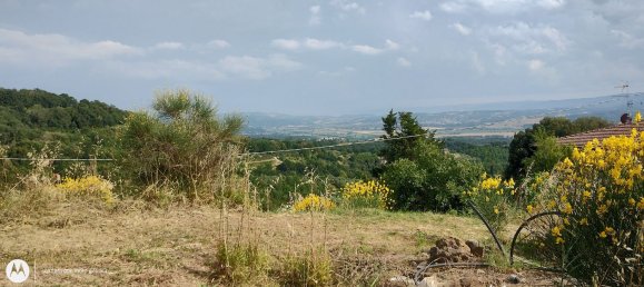 2960m² Land in Città della Pieve, Italy No. 251579 5