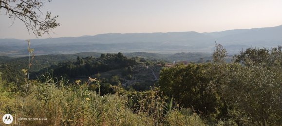 2960m² Land in Città della Pieve, Italy No. 251579 3