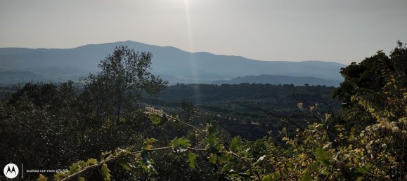 2960m² Land in Città della Pieve, Italy No. 251579 2