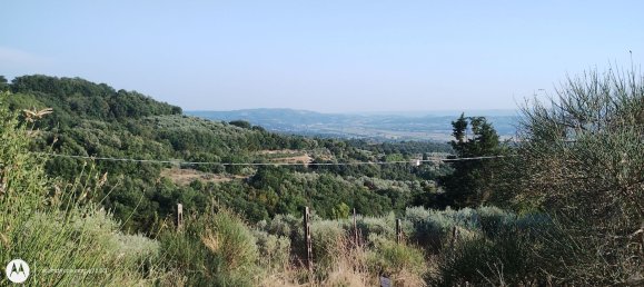 2960m² Land in Città della Pieve, Italy No. 251579 7