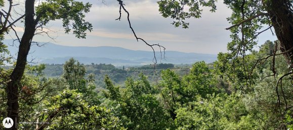 2960m² Land in Città della Pieve, Italy No. 251579 4