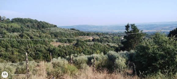 2960m² Land in Città della Pieve, Italy No. 251579 6
