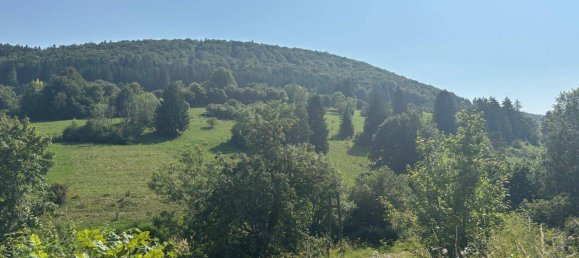 6 rooms House in Zollernalbkreis, Germany No. 279758 6