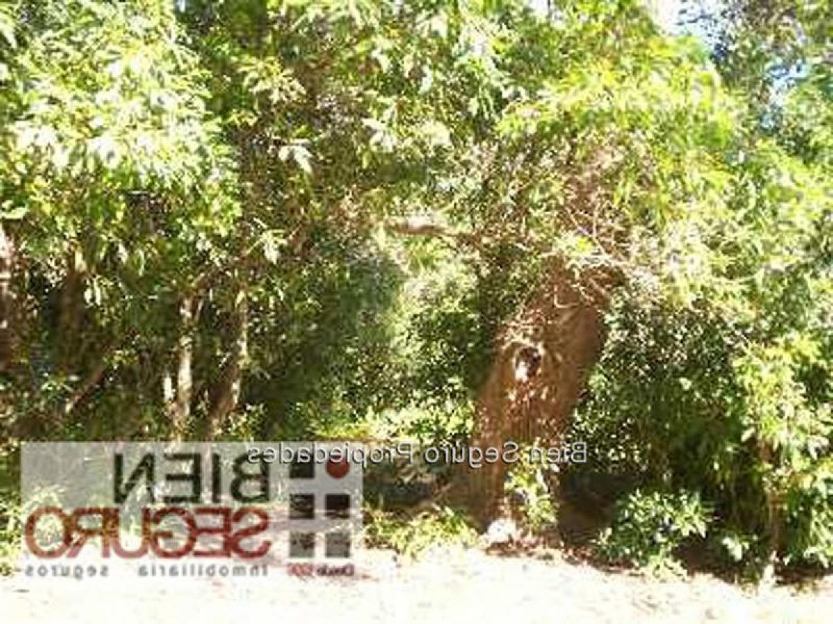 3 bedrooms House in Canelones, Uruguay No. 834