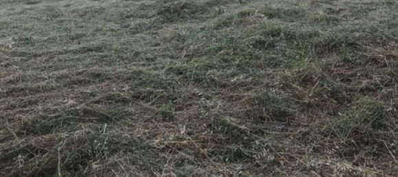 250m² Land in Citerna, Italy No. 290364 2