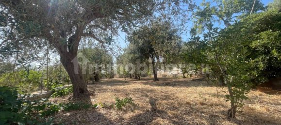 4 bedrooms Villa in Noto, Italy No. 282858 16