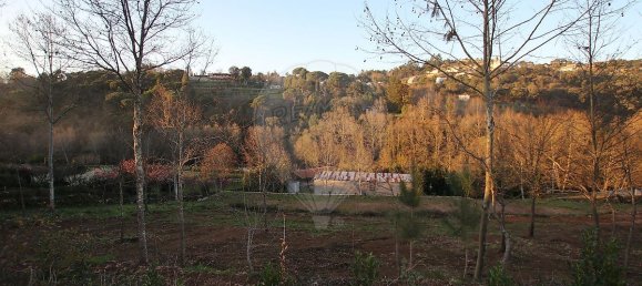 3 Schlafzimmer Haus in Cabeceiras de Basto, Portugal, Nr. 37377 5