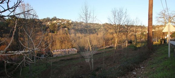 3 Schlafzimmer Haus in Cabeceiras de Basto, Portugal, Nr. 37377 4