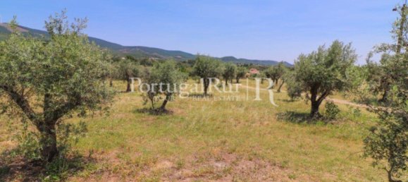 5 bedrooms Land in Portalegre, Portugal No. 132188 48